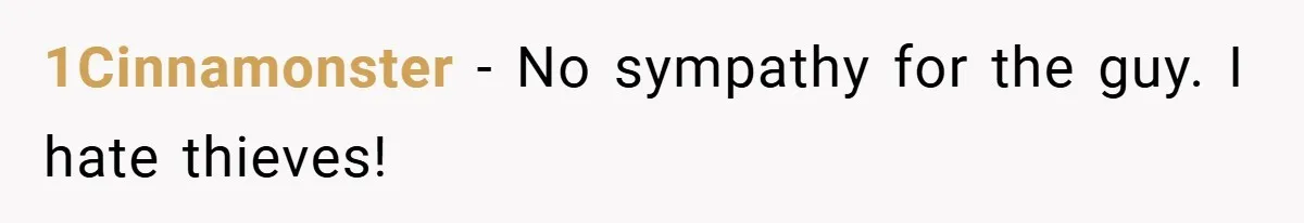 1Cinnamonster − No sympathy for the guy. I hate thieves!