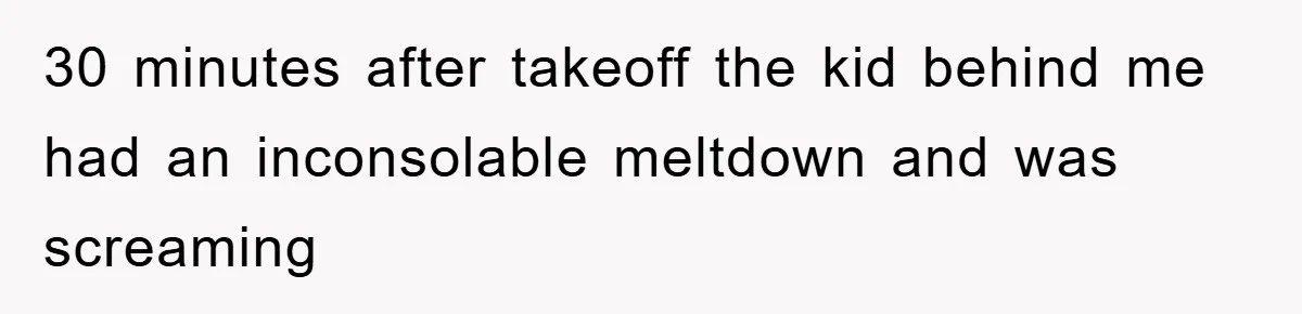 30 minutes after takeoff the kid behind me had an inconsolable meltdown and was screaming