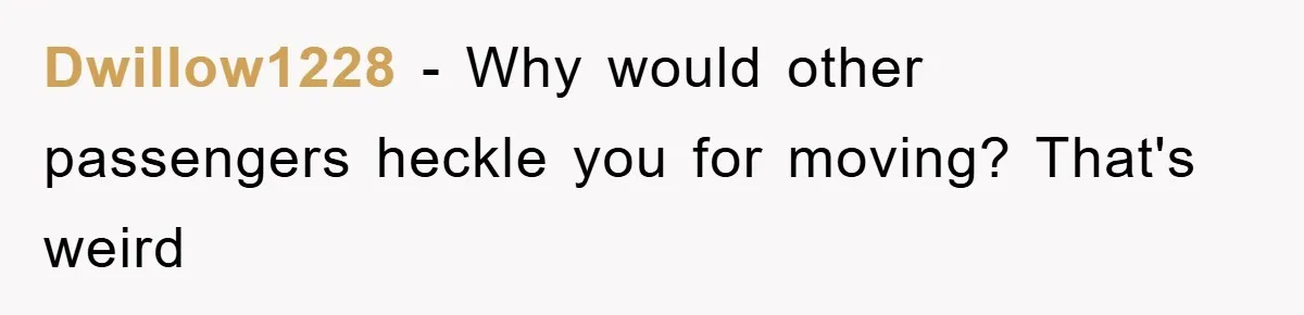 Dwillow1228 − Why would other passengers heckle you for moving? That's weird