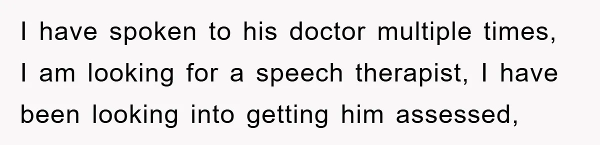 I have spoken to his doctor multiple times, I am looking for a speech therapist, I have been looking into getting him assessed,
