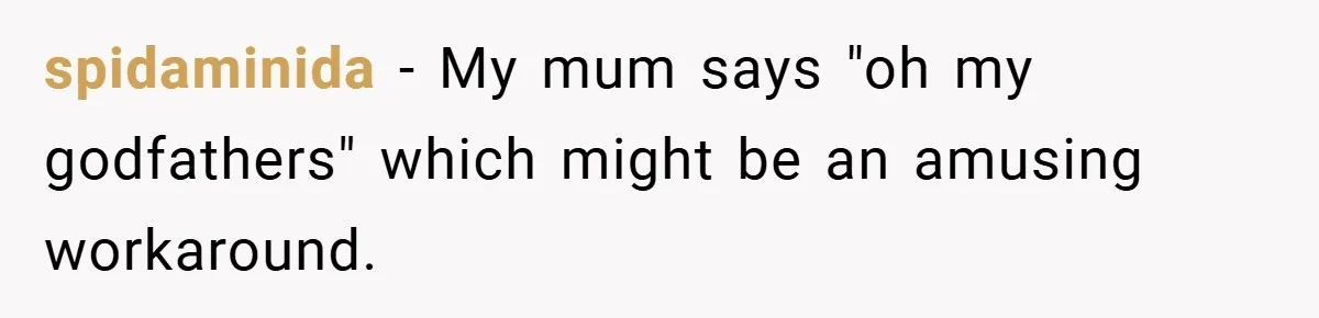 spidaminida − My mum says "oh my godfathers" which might be an amusing workaround.