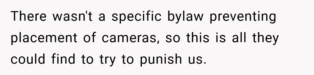 There wasn't a specific bylaw preventing placement of cameras, so this is all they could find to try to punish us.