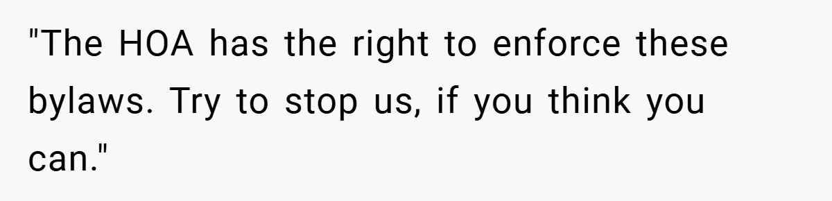 "The HOA has the right to enforce these bylaws. Try to stop us, if you think you can."