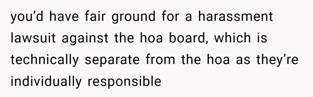 you’d have fair ground for a harassment lawsuit against the hoa board, which is technically separate from the hoa as they’re individually responsible