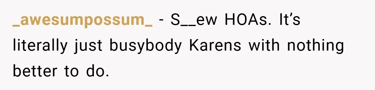 _awesumpossum_ − S__ew HOAs. It’s literally just busybody Karens with nothing better to do.