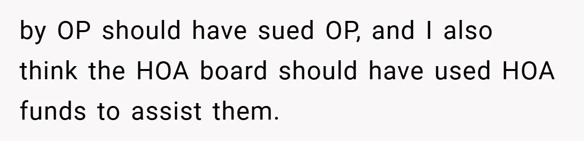 by OP should have sued OP, and I also think the HOA board should have used HOA funds to assist them.