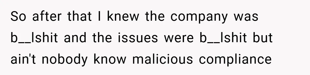 So after that I knew the company was b__lshit and the issues were b__lshit but ain't nobody know malicious compliance