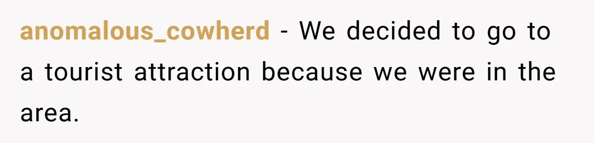 anomalous_cowherd − We decided to go to a tourist attraction because we were in the area.