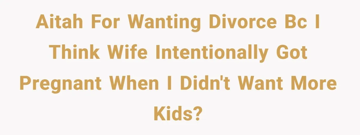AITAH for wanting divorce bc I think wife intentionally got pregnant when I didn't want more kids?