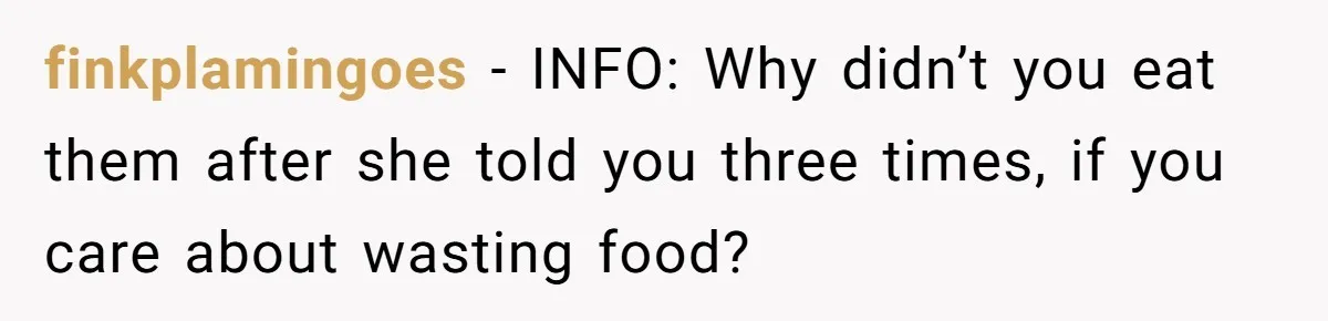 finkplamingoes − INFO: Why didn’t you eat them after she told you three times, if you care about wasting food?