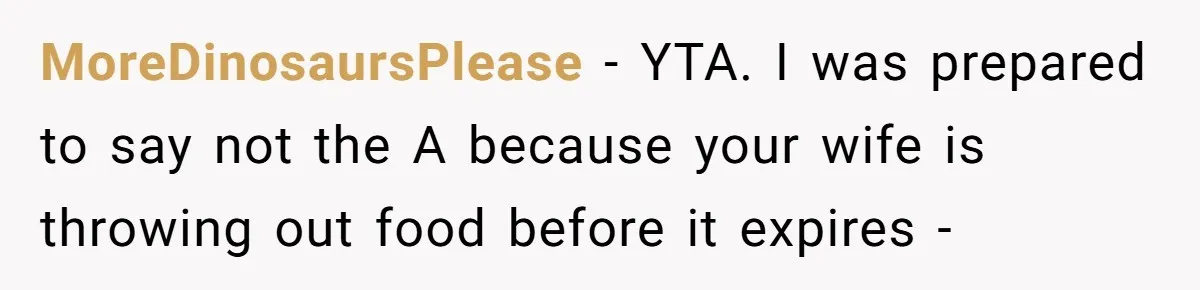 MoreDinosaursPlease − YTA. I was prepared to say not the A because your wife is throwing out food before it expires -