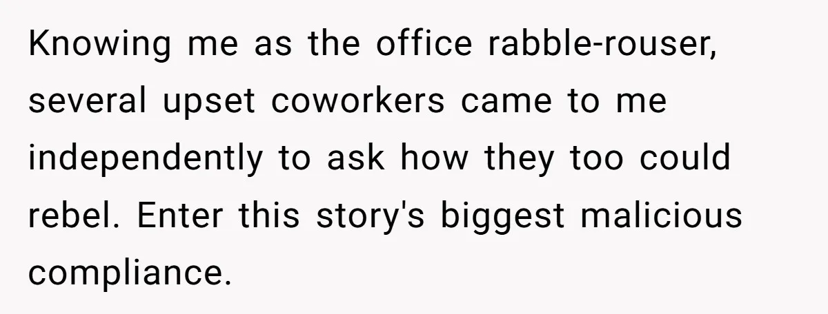 Knowing me as the office rabble-rouser, several upset coworkers came to me independently to ask how they too could rebel. Enter this story's biggest malicious compliance.