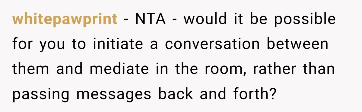 whitepawprint − NTA - would it be possible for you to initiate a conversation between them and mediate in the room, rather than passing messages back and forth?