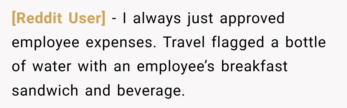 [Reddit User] - I always just approved employee expenses. Travel flagged a bottle of water with an employee’s breakfast sandwich and beverage.