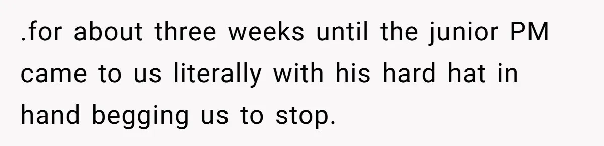 .for about three weeks until the junior PM came to us literally with his hard hat in hand begging us to stop.
