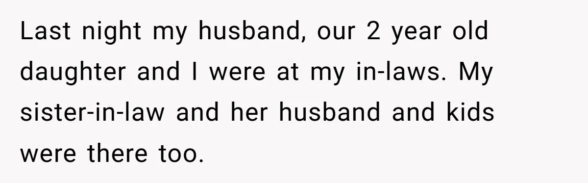 Last night my husband, our 2 year old daughter and I were at my in-laws. My sister-in-law and her husband and kids were there too.