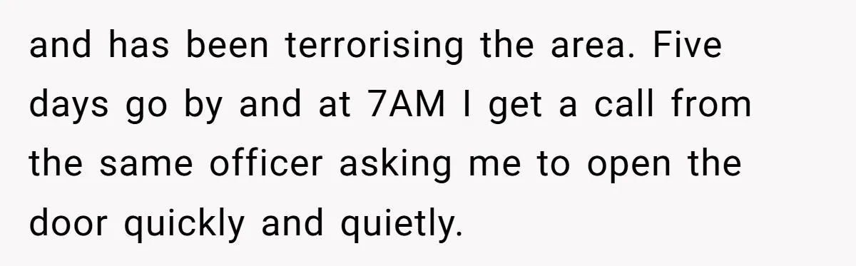 and has been terrorising the area. Five days go by and at 7AM I get a call from the same officer asking me to open the door quickly and quietly.