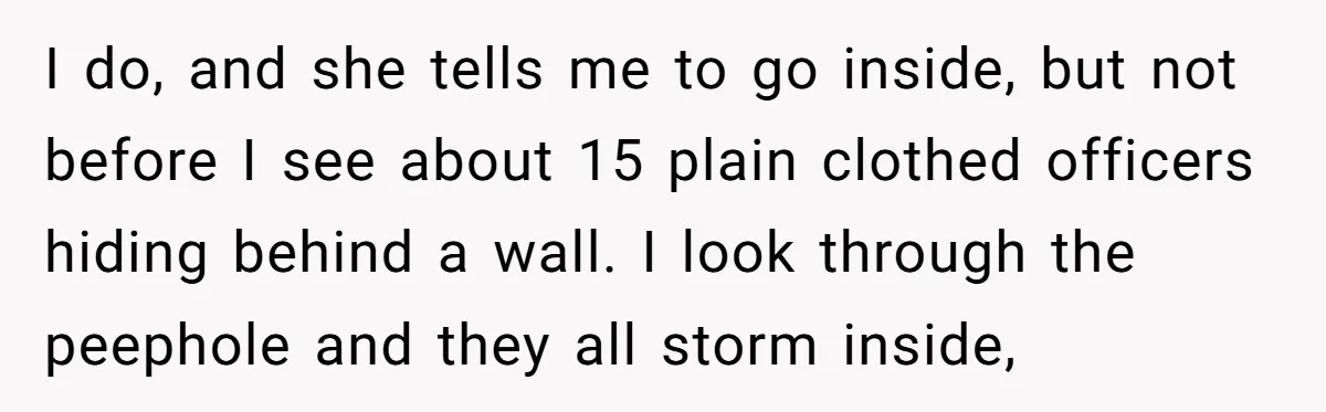 I do, and she tells me to go inside, but not before I see about 15 plain clothed officers hiding behind a wall. I look through the peephole and they...