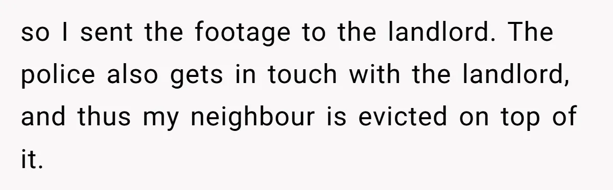 so I sent the footage to the landlord. The police also gets in touch with the landlord, and thus my neighbour is evicted on top of it.