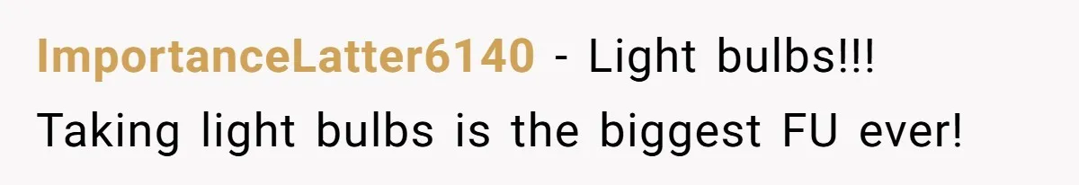 ImportanceLatter6140 − Light bulbs!!! Taking light bulbs is the biggest FU ever!