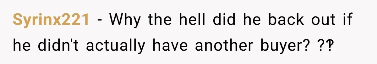 Syrinx221 - Why the hell did he back out if he didn't actually have another buyer? ?‽