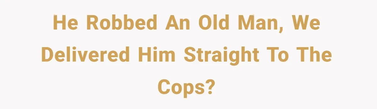 He robbed an old man, we delivered him straight to the cops?