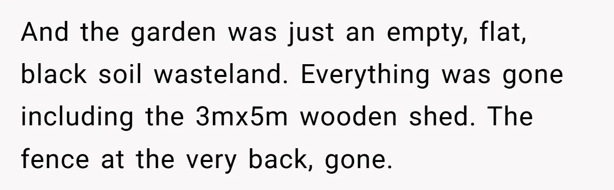 And the garden was just an empty, flat, black soil wasteland. Everything was gone including the 3mx5m wooden shed. The fence at the very back, gone.