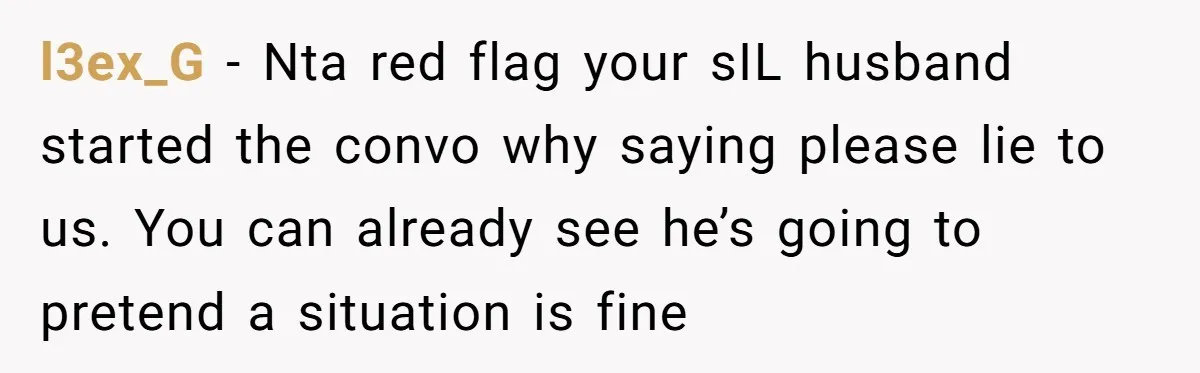 l3ex_G - Nta red flag your sIL husband started the convo why saying please lie to us. You can already see he’s going to pretend a situation is fine