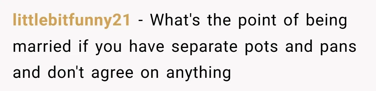 Husband Drains Joint Account After Wife Repeatedly Destroys His Things littlebitfunny21 - What's the point of being married if you have separate pots and pans and don't agree on anything