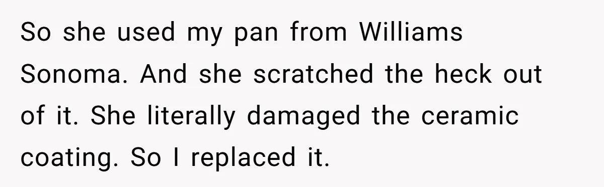 Husband Drains Joint Account After Wife Repeatedly Destroys His Things So she used my pan from Williams Sonoma. And she scratched the heck out of it. She literally damaged the ceramic coating. So I replaced it.