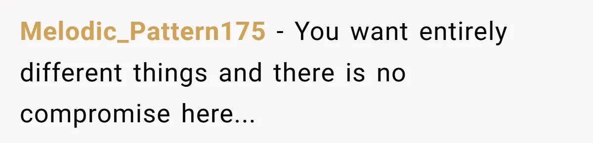 Melodic_Pattern175 - You want entirely different things and there is no compromise here...