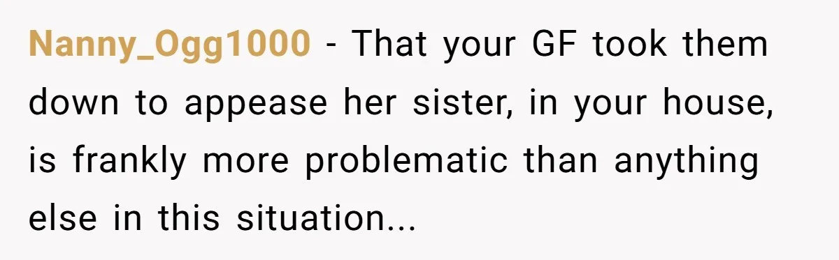 Nanny_Ogg1000 - That your GF took them down to appease her sister, in your house, is frankly more problematic than anything else in this situation...