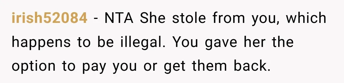 irish52084 - NTA She stole from you, which happens to be illegal. You gave her the option to pay you or get them back.