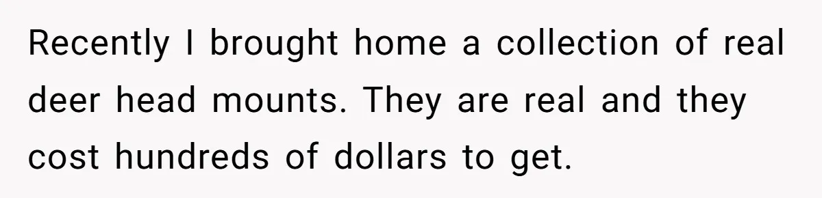 Recently I brought home a collection of real deer head mounts. They are real and they cost hundreds of dollars to get.