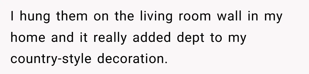 I hung them on the living room wall in my home and it really added dept to my country-style decoration.