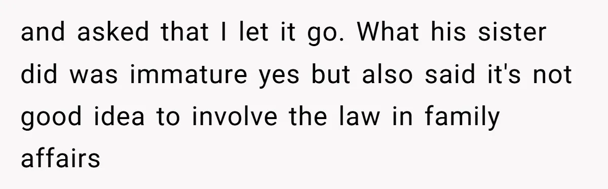 and asked that I let it go. What his sister did was immature yes but also said it's not good idea to involve the law in family affairs