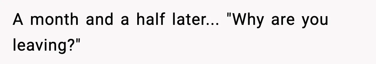 Manager Says “You’ll Never Get 80K Anywhere Else,” Analyst Proves Him Wrong With A 92K Offer In Three Days A month and a half later... "Why are you leaving?"