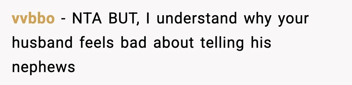 vvbbo − NTA BUT, I understand why your husband feels bad about telling his nephews