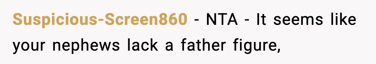 Suspicious-Screen860 − NTA - It seems like your nephews lack a father figure,