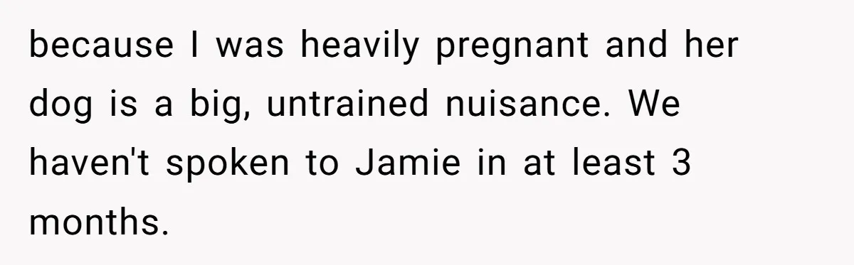 because I was heavily pregnant and her dog is a big, untrained nuisance. We haven't spoken to Jamie in at least 3 months.