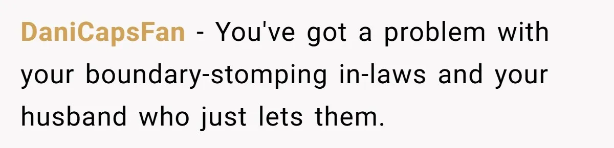 DaniCapsFan − You've got a problem with your boundary-stomping in-laws and your husband who just lets them.