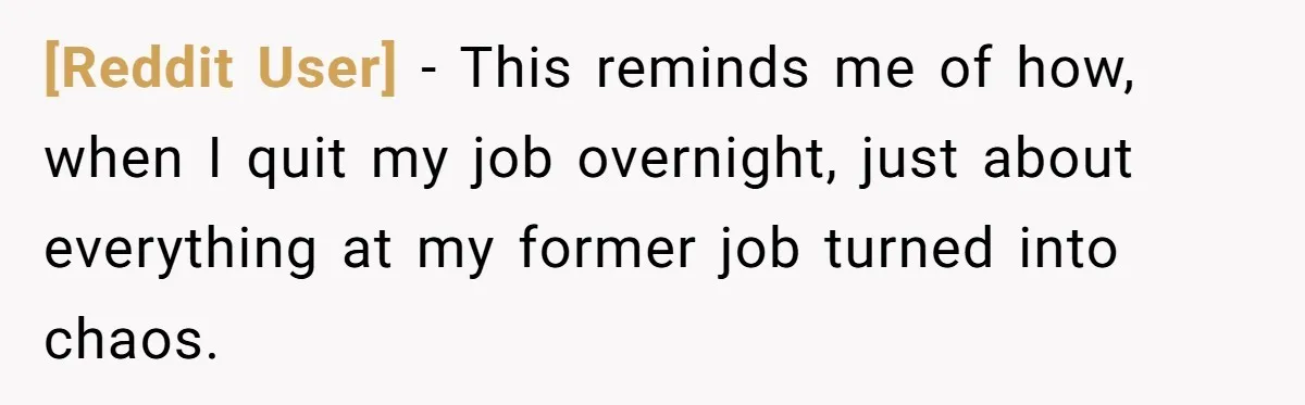 [Reddit User] − This reminds me of how, when I quit my job overnight, just about everything at my former job turned into chaos.
