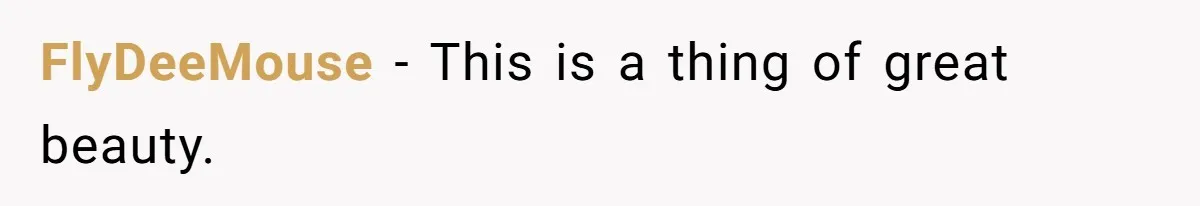 Store Sets 15-Second Checkout Rule - Employee Follows It So Well Management Instantly Regrets It FlyDeeMouse − This is a thing of great beauty.