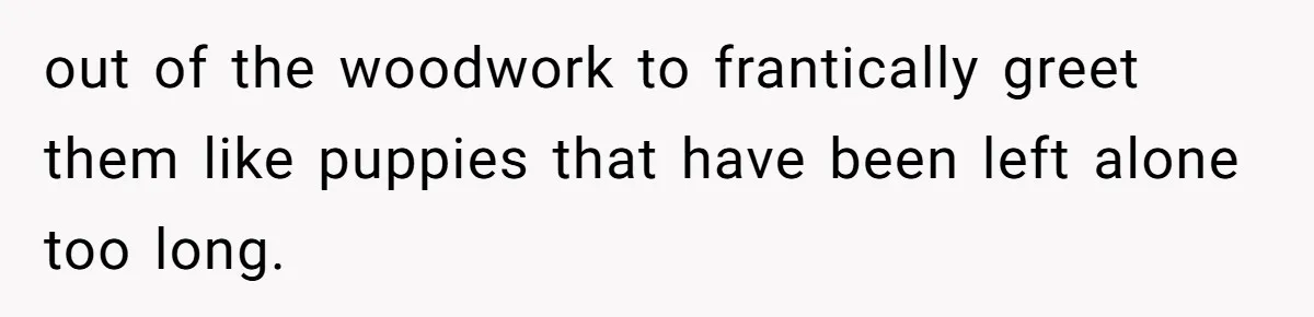 Store Sets 15-Second Checkout Rule - Employee Follows It So Well Management Instantly Regrets It out of the woodwork to frantically greet them like puppies that have been left alone too long.