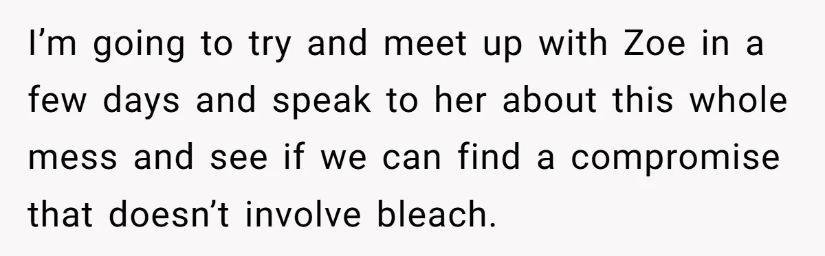 I’m going to try and meet up with Zoe in a few days and speak to her about this whole mess and see if we can find a compromise that...