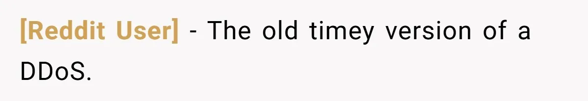 [Reddit User] − The old timey version of a DDoS.