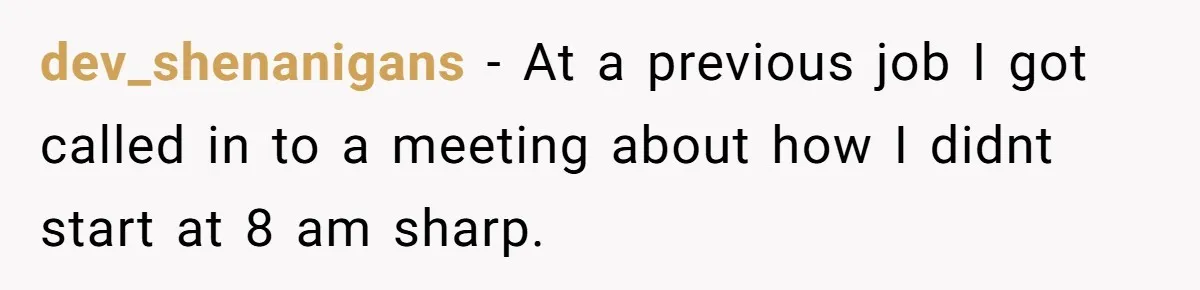 dev_shenanigans − At a previous job I got called in to a meeting about how I didnt start at 8 am sharp.