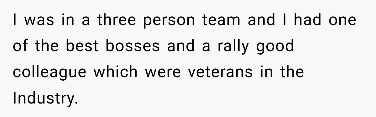 I was in a three person team and I had one of the best bosses and a rally good colleague which were veterans in the Industry.
