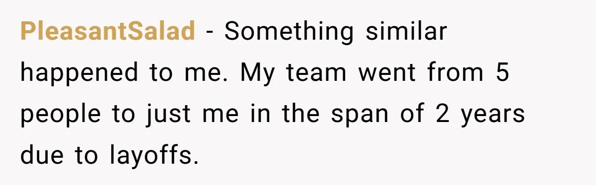PleasantSalad − Something similar happened to me. My team went from 5 people to just me in the span of 2 years due to layoffs.