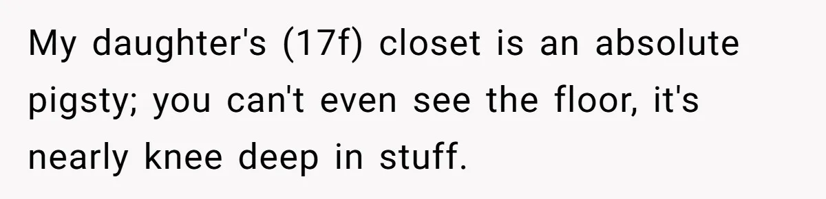 My daughter's (17f) closet is an absolute pigsty; you can't even see the floor, it's nearly knee deep in stuff.